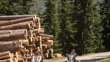 Zwei Kinder fahren auf einem Kiesweg in Buggys. Im Hintergrund sind Holzstapel und hohe Bäume vor einer bergigen Landschaft zu sehen.